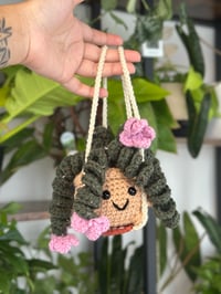Image 3 of Pre-Order Blossom: Swinging Blooming Cactus
