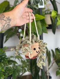 Image 2 of Pre-Order Lola: Swinging Vining Plant 