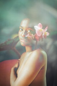  Orchid Beauty - 50 x 75 cm