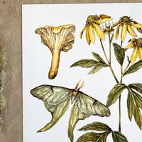 Image 2 of 'dreams of june'