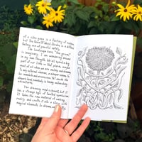 Image 5 of The Grove of Weird Shrubs by David Tea