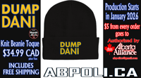 Image 1 of DUMP DANI-Beanie-Toque