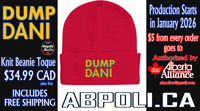 Image 3 of DUMP DANI-Beanie-Toque