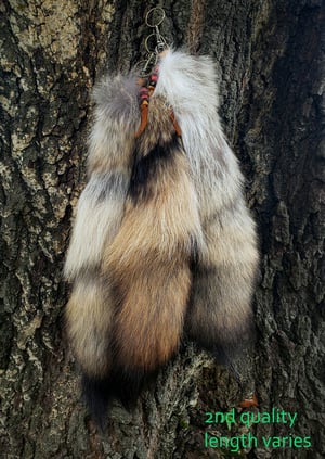 Image of Coyote Tail Keychain