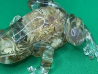 Image 4 of A Bloom Within Resin Frog