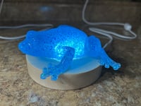 Image 2 of Azure Sparkle Hopper Resin Frog