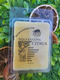 Image 2 of Rejuvenating Citrus 