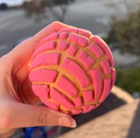 Concha compact mirror