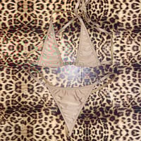 Image 1 of ⋆°.☾⋆small or medium classic g and micro cup.ೃ࿔*:⋆