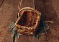Image 2 of Basket Masha
