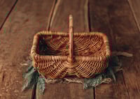 Image 3 of Basket Masha