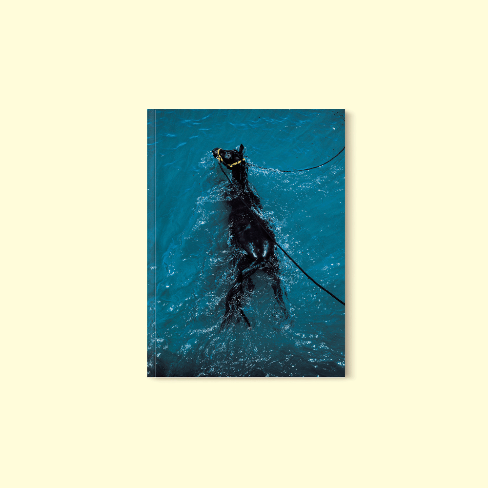 Image of BROMIO ISSUE #4