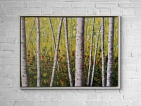 Image 1 of 'Bracken Woods' framed canvas