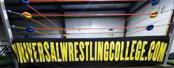 Image of Austin Idol's Universal Wrestling College Ring Apron