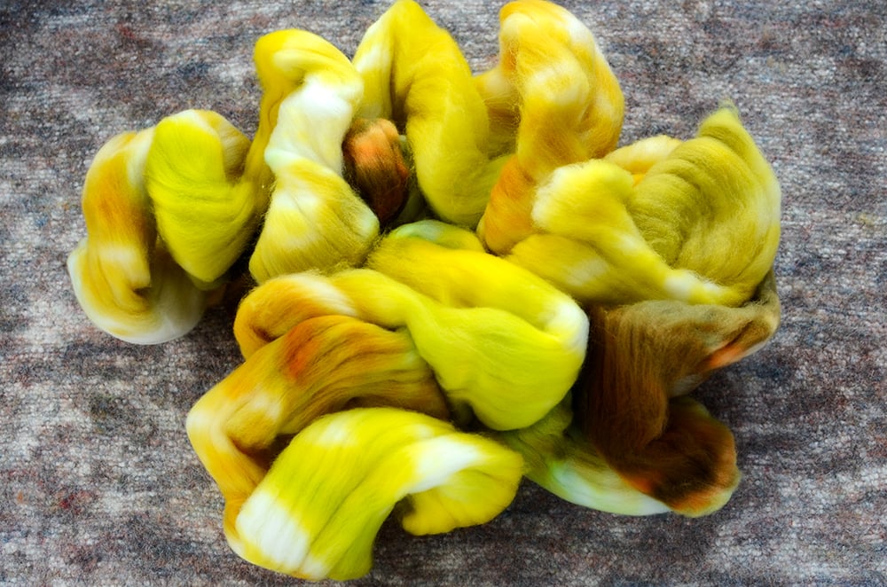 Image of "Golden Raisins" Superfine Merino Wool Spinning Fiber - 4 oz.