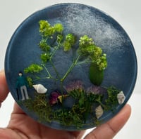 Image 3 of Quiet Walks Botanical Story Coaster Set