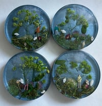 Image 5 of Quiet Walks Botanical Story Coaster Set