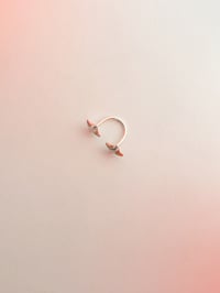 Image 3 of ✧ DOPPIA STELLA ✧