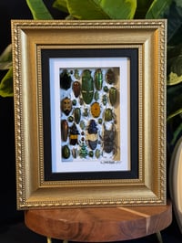 BEETLE BOX - BLACK / GOLD ORNATE