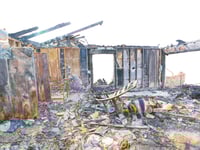 Danger by Jason Webb - Fine Art Print