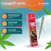 Image 2 of T8HC Joint King Gorilla 99% 2g