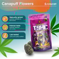 Image 2 of T9HC Cvijeće Iznimno 99%