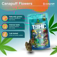 Image 2 of T9HC Cvijeće Uravnoteženo 99%