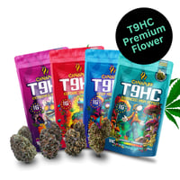 Najprodavaniji cvjetni paket T9HC