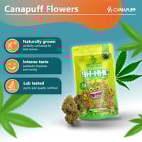 Image 2 of 9H-HHC Cvijeće Super limunska izmaglica 99%