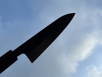 Image 3 of 110MM PETIT #328