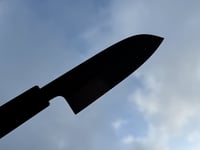 Image 3 of 120MM BABY SANTOKU #329