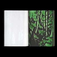 Image 4 of ANOTHER GREEN WORLD, COLLECTION CONFIDENS BY PIERRE LA POLICE