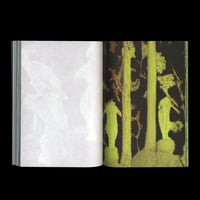 Image 2 of ANOTHER GREEN WORLD, COLLECTION CONFIDENS BY PIERRE LA POLICE