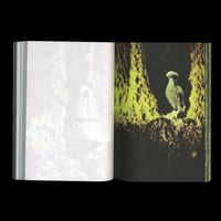 Image 5 of ANOTHER GREEN WORLD, COLLECTION CONFIDENS BY PIERRE LA POLICE