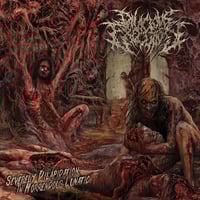 Divicious Execution - Severely Dilapidation In Horrendous Lunatic