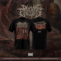 Divicious Execution - Severely Dilapidation Of Horrendous Lunatic T-SHIRT