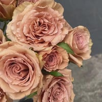 Image 6 of Pre-Order - TOFFEE ROSE