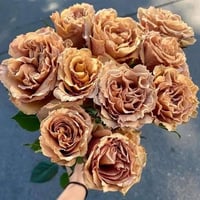 Image 7 of Pre-Order - TOFFEE ROSE