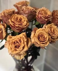 Image 8 of Pre-Order - TOFFEE ROSE