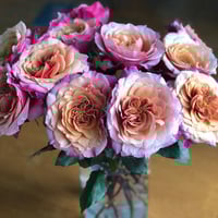 Image 7 of Pre-Order - MIYABI ROSE