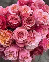 Image 8 of Pre-Order - MIYABI ROSE