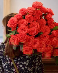 Image 10 of Pre-Order - SPUTNIK ROSE