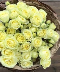 Image 1 of CREAMY EDEN ROSE