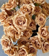 Image 10 of Pre-Order - TOFFEE ROSE