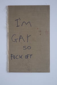 Image 2 of I'm Gay so Fuck off  by 'The Naked Artist' aka Suzie