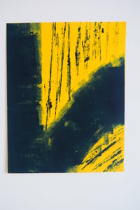 Image 3 of Assortment by 'The Naked Artist' aka Suzie