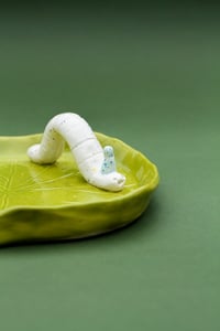 Image 1 of Party bug - Decorative plate