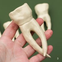 Image 5 of Ceramic Teeth Wall Hangers (Small and Large)
