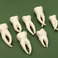 Image 1 of Ceramic Teeth Wall Hangers (Small and Large)