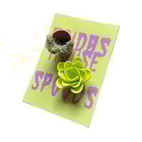 Image 10 of Frida’s Garden